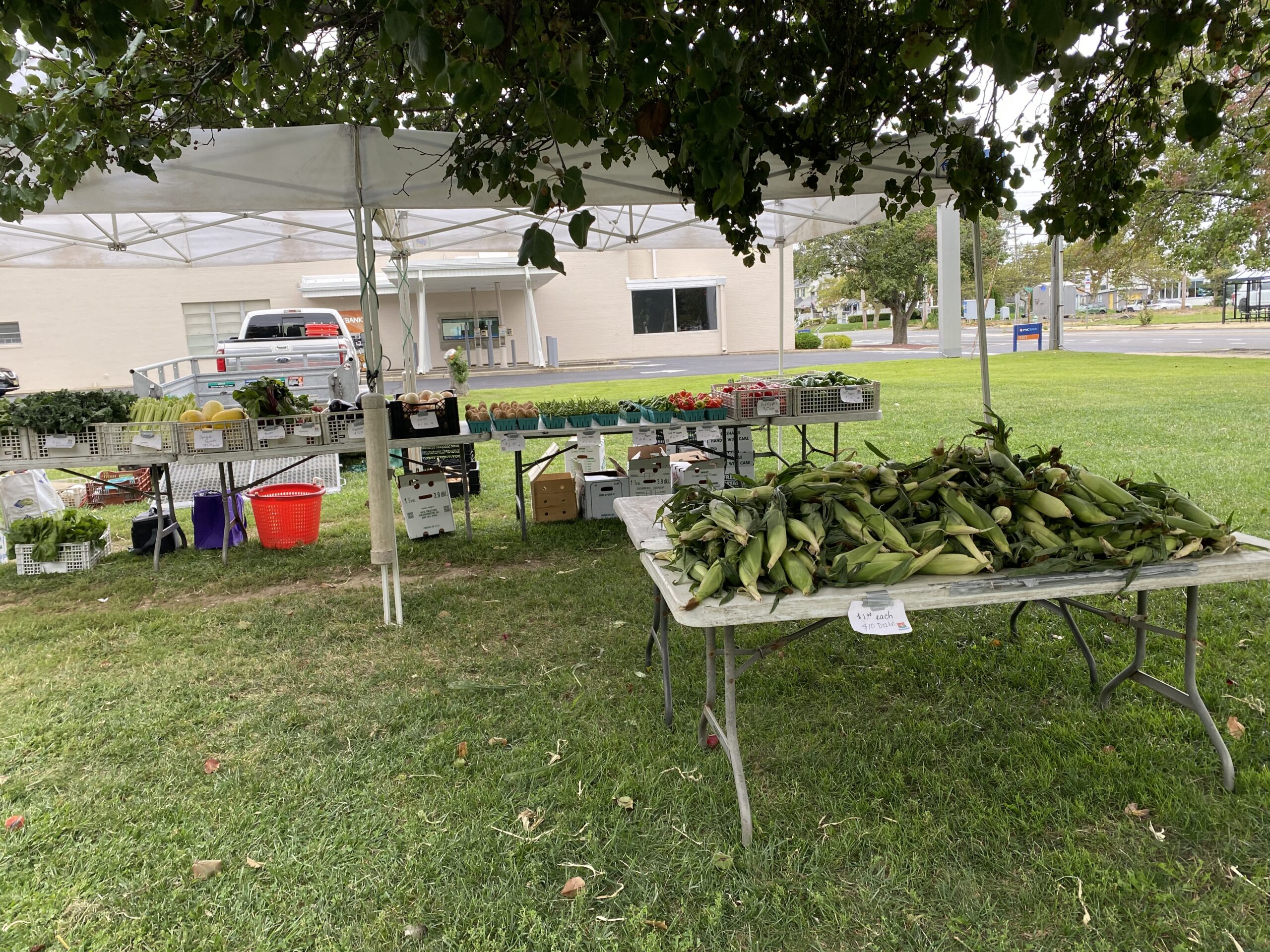 Asbury Park Sunset Farmers Market 🥬